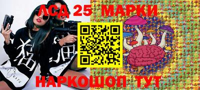 амф Новодвинск