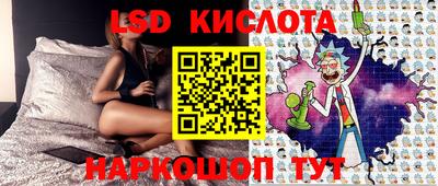амф Новодвинск
