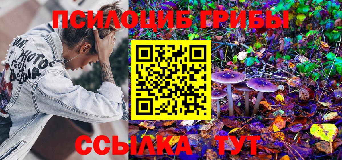 Псилоцибиновые грибы Cubensis Улан-Удэ