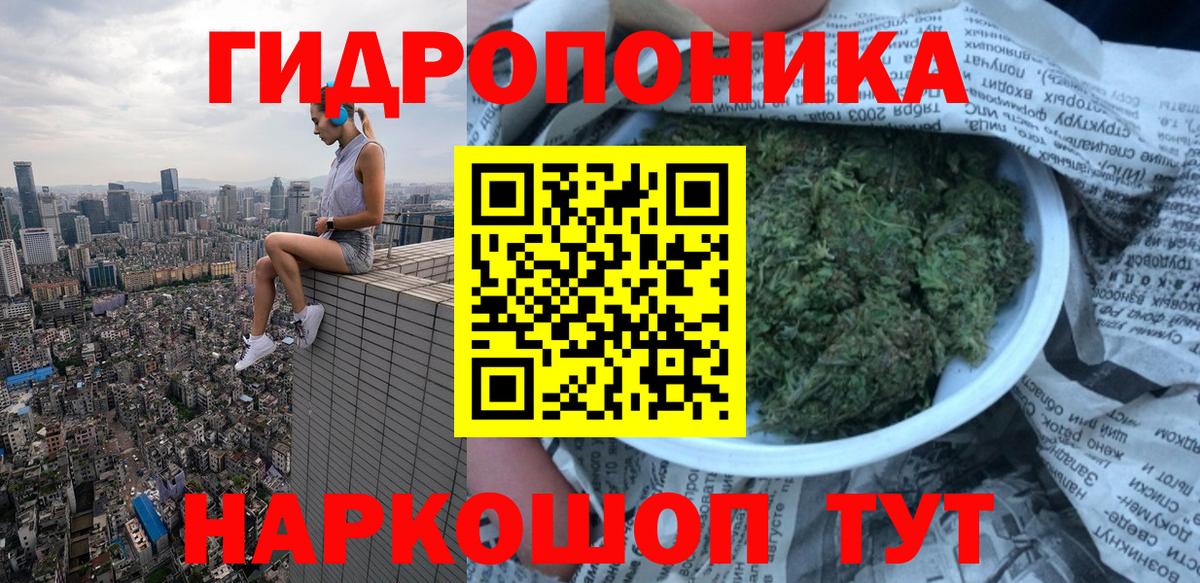 Каннабис семена  Каннабис Ganja  Улан-Удэ  Марихуана план  Вход с VPN 